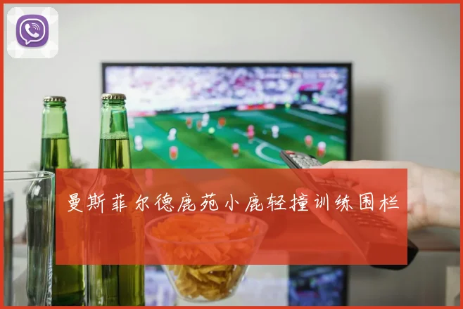 曼斯菲尔德鹿苑小鹿轻撞训练围栏