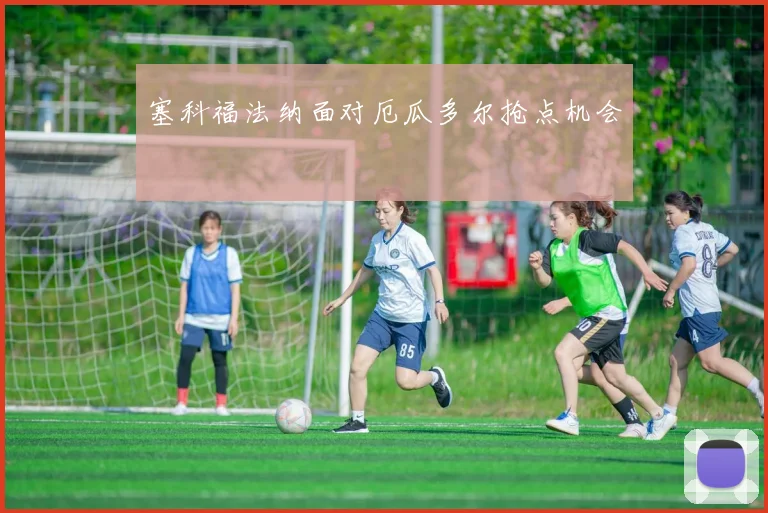 塞科福法纳面对厄瓜多尔抢点机会
